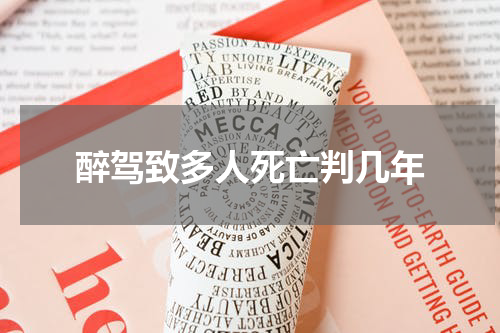醉驾致多人死亡判几年