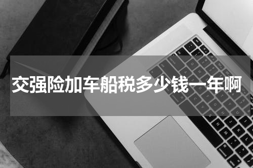 交强险加车船税多少钱一年啊