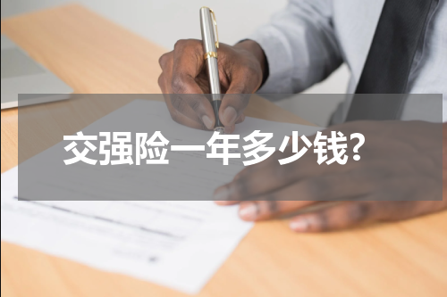 交强险一年多少钱?