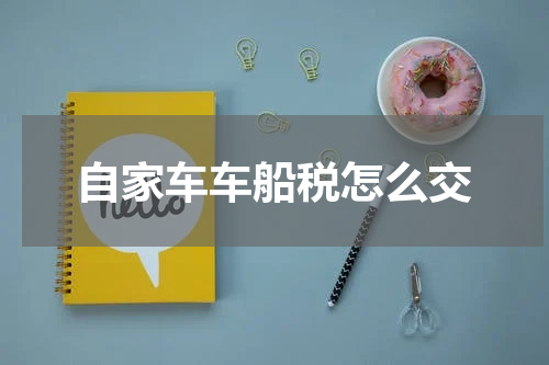 自家车车船税怎么交