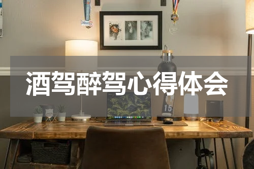 酒驾醉驾心得体会