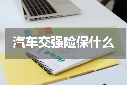 汽车交强险保什么