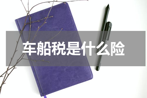 车船税是什么险
