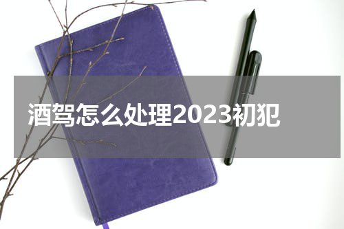 酒驾怎么处理2023初犯