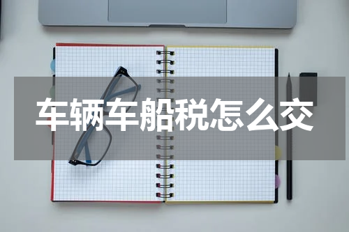 车辆车船税怎么交
