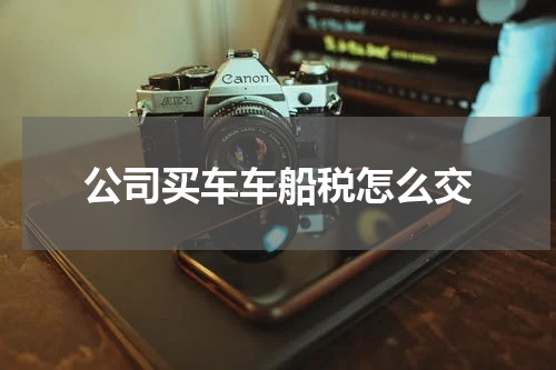 公司买车车船税怎么交