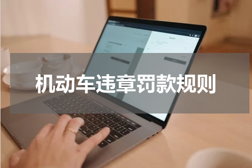 机动车违章罚款规则