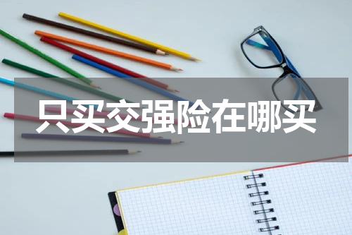 只买交强险在哪买