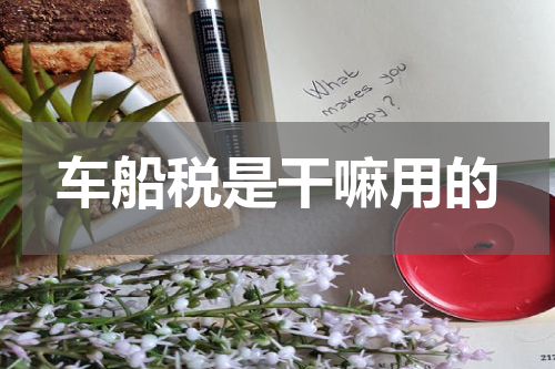 车船税是干嘛用的