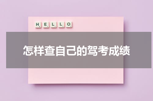 怎样查自己的驾考成绩