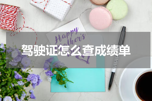 驾驶证怎么查成绩单