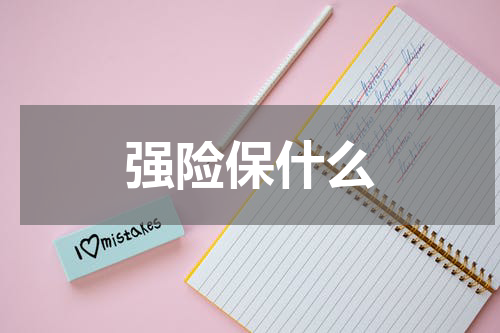强险保什么
