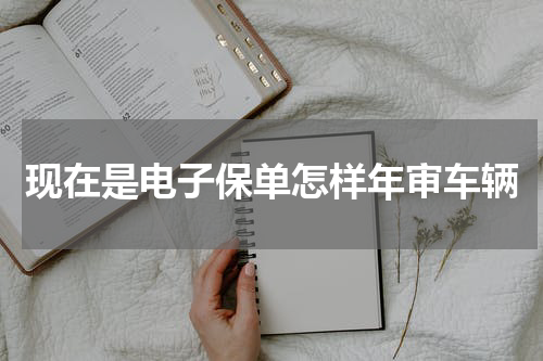 现在是电子保单怎样年审车辆