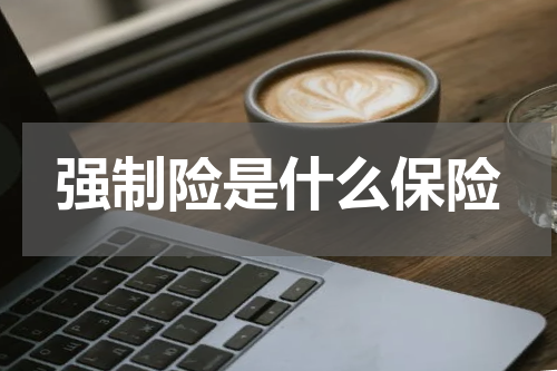 强制险是什么保险