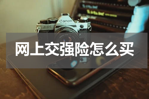 网上交强险怎么买
