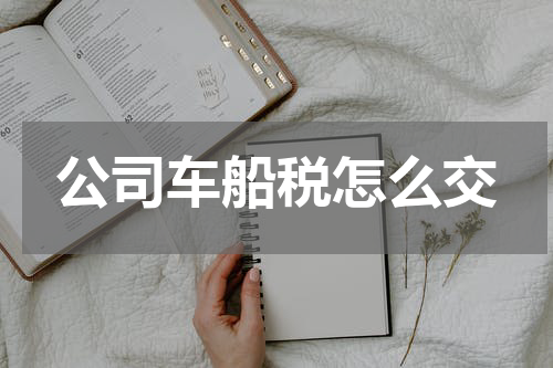 公司车船税怎么交