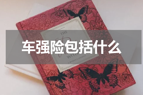 车强险包括什么