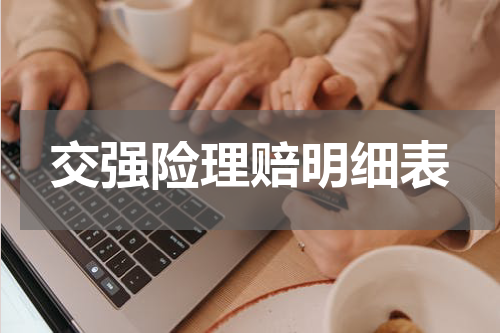 交强险理赔明细表