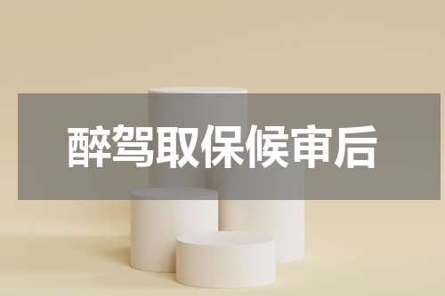醉驾取保候审后