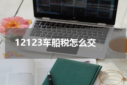 12123车船税怎么交