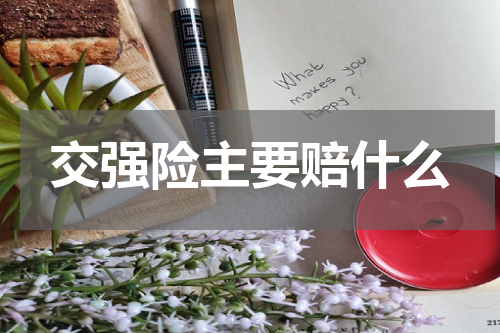 交强险主要赔什么