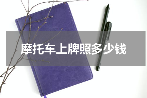 摩托车上牌照多少钱