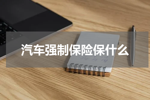 汽车强制保险保什么