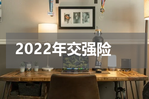 2022年交强险