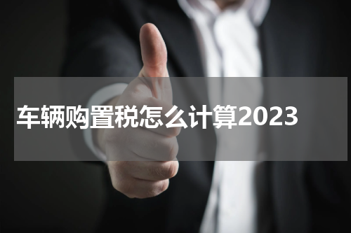 车辆购置税怎么计算2023