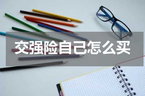 交强险自己怎么买