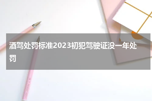 酒驾处罚标准2023初犯驾驶证没一年处罚