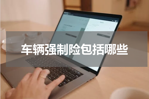 车辆强制险包括哪些