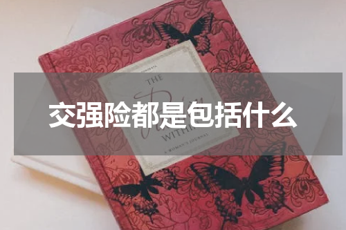 交强险都是包括什么