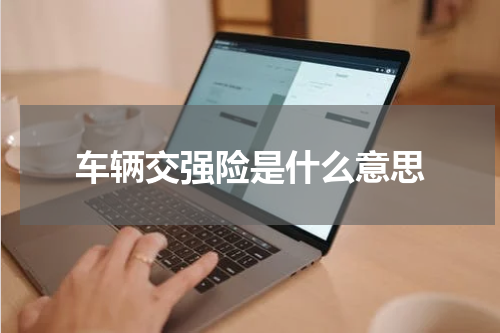 车辆交强险是什么意思