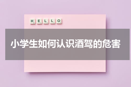 小学生如何认识酒驾的危害