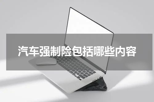 汽车强制险包括哪些内容