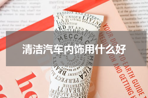 清洁汽车内饰用什么好