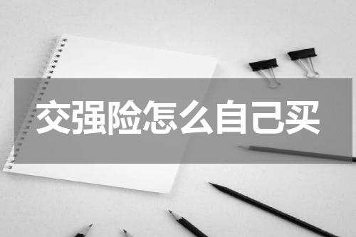 交强险怎么自己买