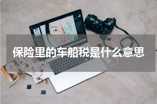 保险里的车船税是什么意思