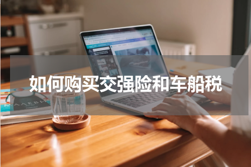 如何购买交强险和车船税