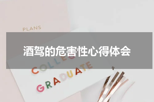 酒驾的危害性心得体会
