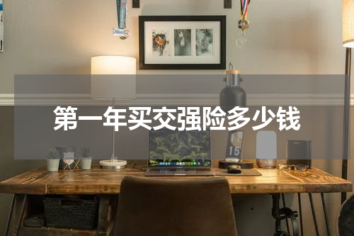 第一年买交强险多少钱