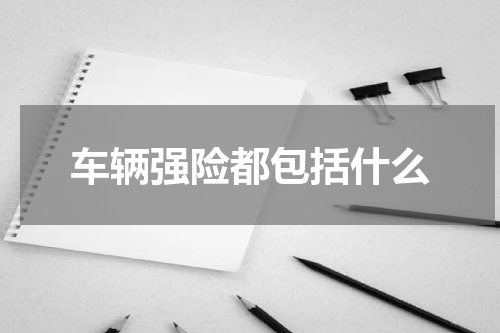 车辆强险都包括什么