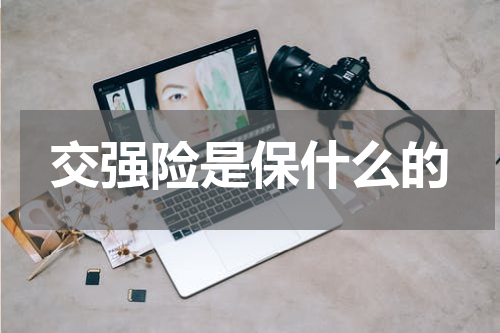 交强险是保什么的