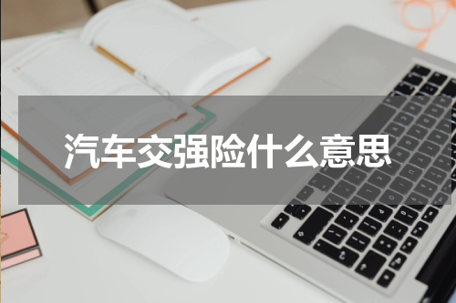 汽车交强险什么意思