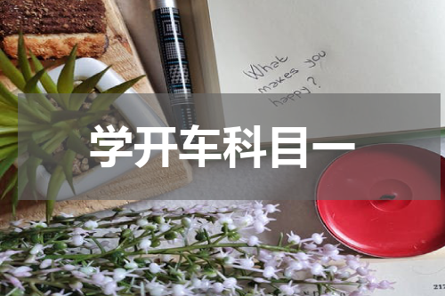 学开车科目一