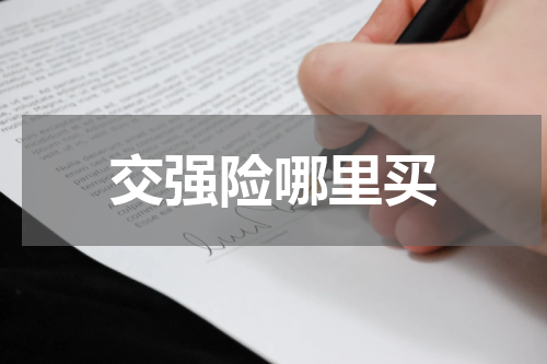 交强险哪里买