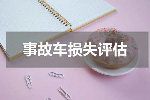 事故车损失评估