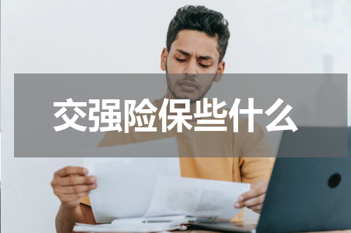 交强险保些什么