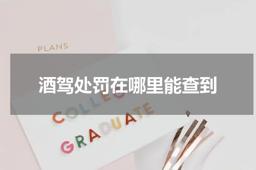 酒驾处罚在哪里能查到
